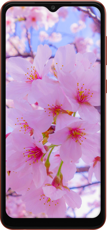 TPU чехол Сакура для Samsung Galaxy A04 A045F - 6029b-2831 изображение 