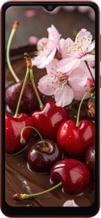 Силіконовий чехол Вишня у шоколаді для Samsung Galaxy A04 A045F - 6698u-2831 изображение 