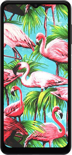 TPU чехол Tropical background для Samsung Galaxy A04s - 4016b-2877 изображение 