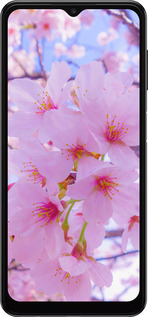 TPU чехол Сакура для Samsung Galaxy A13 5G - 6029b-3853 изображение 