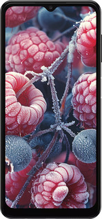 TPU чехол Морозные ягоды для Samsung Galaxy A13 5G - 6033b-3853 изображение 