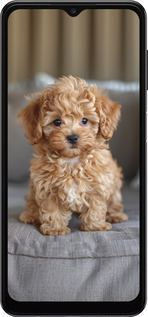 TPU чехол Mini-maltipoo для Samsung Galaxy A04s - 6158b-2877 изображение 