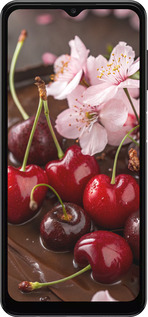 TPU чехол Вишня в шоколаде для Samsung Galaxy A04s - 6698b-2877 изображение 