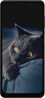 TPU чехол Дымчатый кот для Samsung Galaxy A13 5G - 825b-3853 изображение 