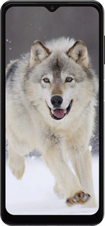 TPU чехол Бегущий волк для Samsung Galaxy A04s - 826b-2877 изображение 