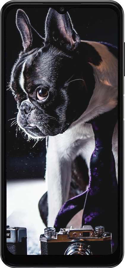 TPU чехол Бульдог-фотограф для Samsung Galaxy A04s - 142b-2877 изображение 