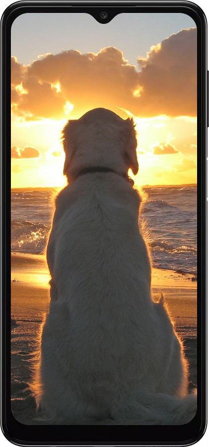 TPU чехол Закат и собака для Samsung Galaxy A04s - 3966b-2877 изображение 