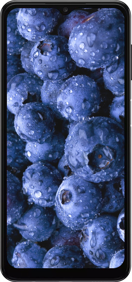 TPU чехол Голубика для Samsung Galaxy A04s - 4459b-2877 изображение 