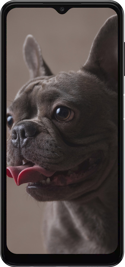 TPU чехол Милый бульдог для Samsung Galaxy A04s - 5546b-2877 изображение 