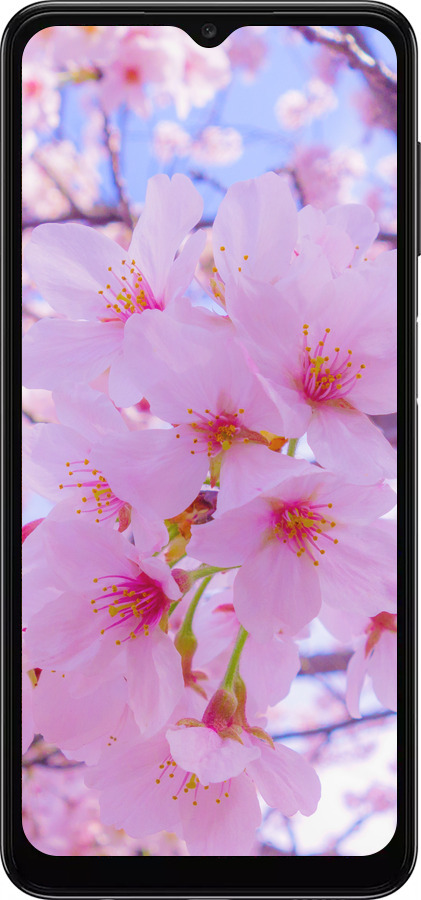 TPU чехол Сакура для Samsung Galaxy A13 5G - 6029b-3853 изображение 