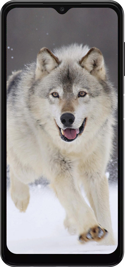 TPU чехол Бегущий волк для Samsung Galaxy A04s - 826b-2877 изображение 