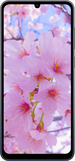 TPU чехол Сакура для Samsung Galaxy A05 - 6029b-3355 изображение 