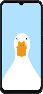 TPU чехол Гусь для Samsung Galaxy A05s - 6350b-3356 изображение 