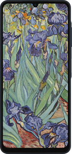 Силиконовый чехол Винсент Ван Гог. Ирисы для Samsung Galaxy A06 4G - 161u-3776 изображение 