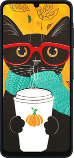 Силиконовый чехол Осенний кот для Samsung Galaxy A06 4G - 4026u-3776 изображение 