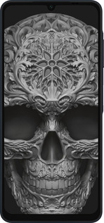 Силиконовый чехол skull-ornament для Samsung Galaxy A06 4G - 4101u-3776 изображение 