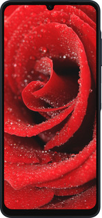Силиконовый чехол Красная роза для Samsung Galaxy A06 4G - 529u-3776 изображение 