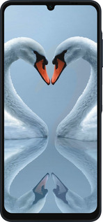 Силиконовый чехол Лебеди для Samsung Galaxy A06 4G - 6007u-3776 изображение 