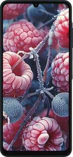 Силиконовый чехол Морозные ягоды для Samsung Galaxy A06 4G - 6033u-3776 изображение 