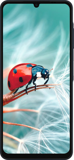 Силиконовый чехол Божья коровка для Samsung Galaxy A06 4G - 6049u-3776 изображение 