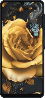Силіконовий чехол Black snake and golden rose для Samsung Galaxy A06 4G - 6068u-3776 изображение 