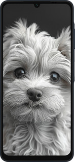 Силіконовий чехол Мальтипу на чорному фоні для Samsung Galaxy A06 4G - 6156u-3776 изображение 