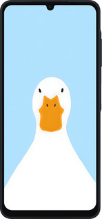 Силиконовый чехол Гусь для Samsung Galaxy A06 4G - 6350u-3776 изображение 