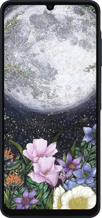 Силиконовый чехол Полночь в саду II для Samsung Galaxy A06 4G - 6424u-3776 изображение 