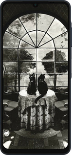 Силиконовый чехол Череп и коты для Samsung Galaxy A06 4G - 6432u-3776 изображение 