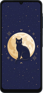 Силиконовый чехол Cute Cat Celestial/Witchy для Samsung Galaxy A06 4G - 6787u-3776 изображение 