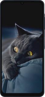 Силіконовий чехол Димчастий кіт для Samsung Galaxy A06 4G - 825u-3776 изображение 