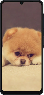 Силиконовый чехол Boo 2 для Samsung Galaxy A06 4G - 890u-3776 изображение 