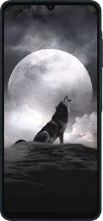 Силиконовый чехол Воющий волк для Samsung Galaxy A06 4G - 934u-3776 изображение 