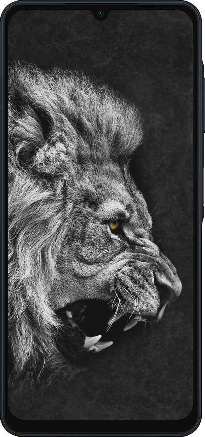 Силіконовий чехол Лев для Samsung Galaxy A06 4G - 1080u-3776 изображение 