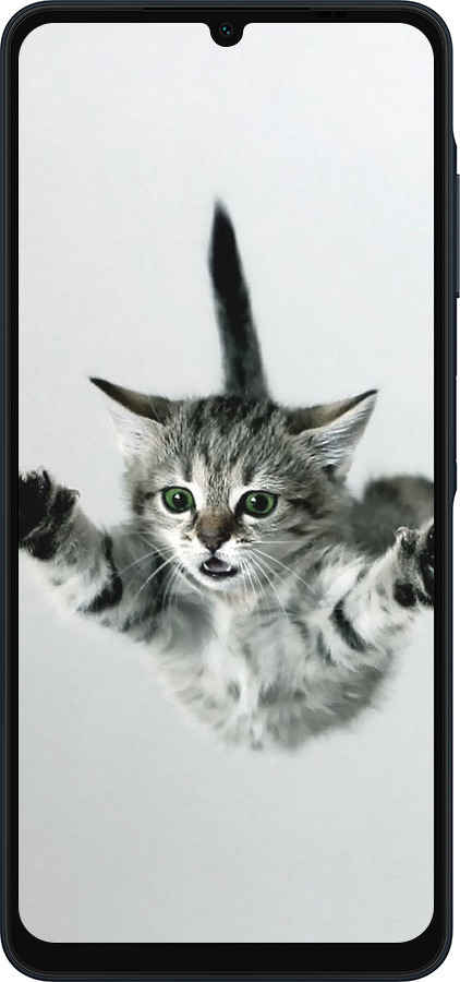 Силиконовый чехол Летящий котёнок для Samsung Galaxy A06 4G - 2322u-3776 изображение 