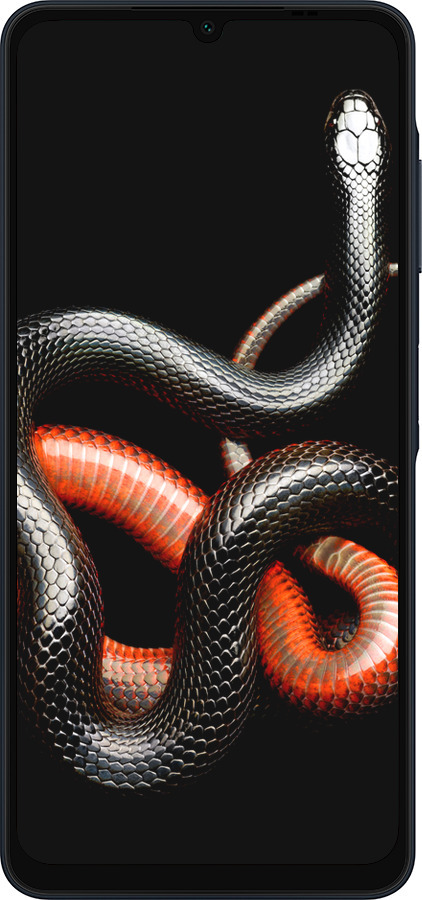 Силиконовый чехол Красно-черная змея на черном фоне для Samsung Galaxy A06 4G - 4063u-3776 изображение 