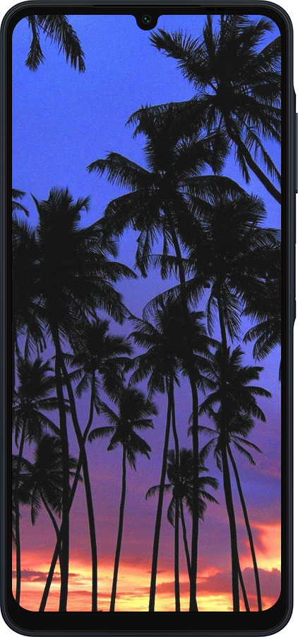 Силиконовый чехол Пальмы для Samsung Galaxy A06 4G - 4324u-3776 изображение 