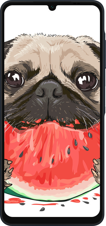 Силиконовый чехол Мопс и арбуз для Samsung Galaxy A06 4G - 4665u-3776 изображение 