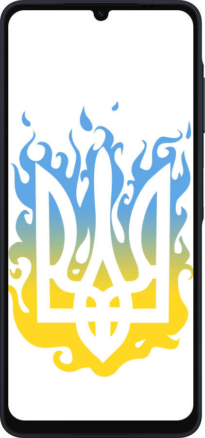 Силиконовый чехол Герб v1 для Samsung Galaxy A06 4G - 5258u-3776 изображение 