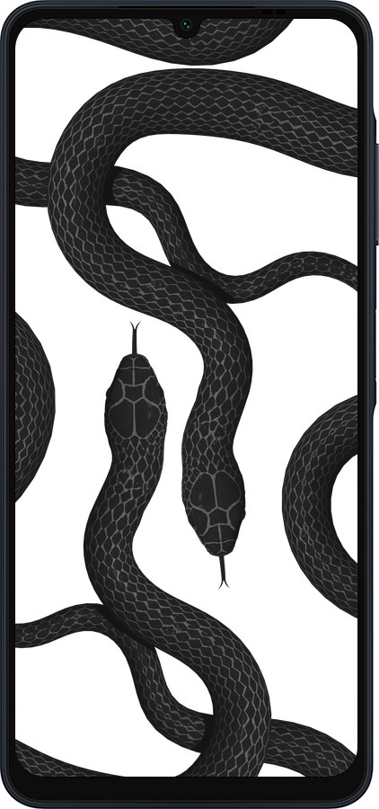 Силиконовый чехол Змеи для Samsung Galaxy A06 4G - 5473u-3776 изображение 