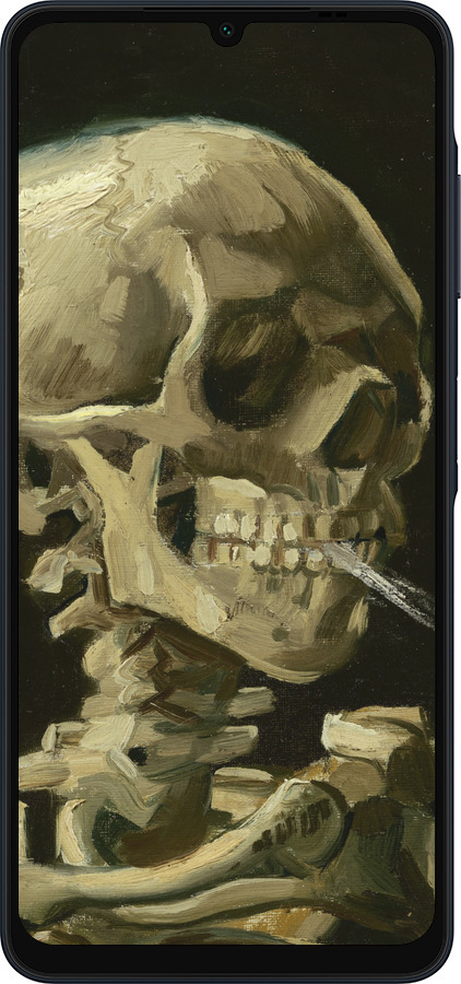 Силиконовый чехол Винсент Ван Гог. Череп для Samsung Galaxy A06 4G - 5544u-3776 изображение 