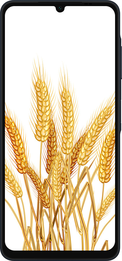 Силиконовый чехол Колоски пшеници для Samsung Galaxy A06 4G - 5866u-3776 изображение 