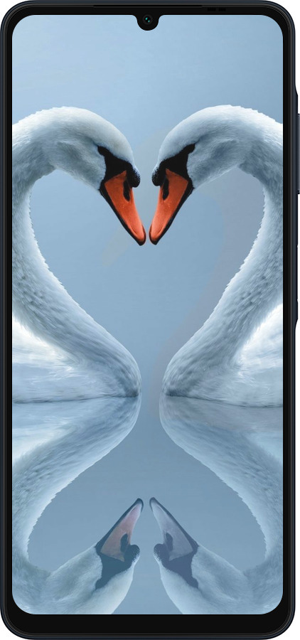 Силиконовый чехол Лебеди для Samsung Galaxy A06 4G - 6007u-3776 изображение 