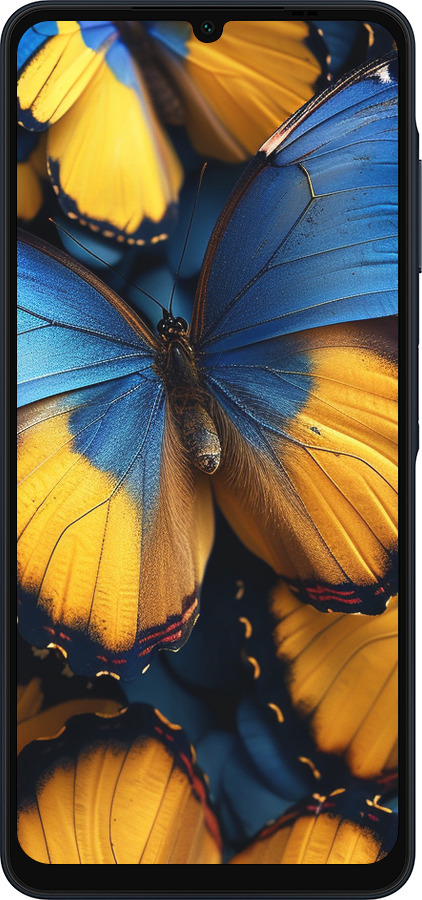 Силиконовый чехол Желто-голубые бабочки для Samsung Galaxy A06 4G - 6046u-3776 изображение 