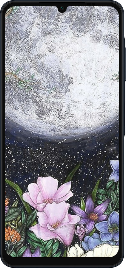 Силиконовый чехол Полночь в саду для Samsung Galaxy A06 4G - 6259u-3776 изображение 