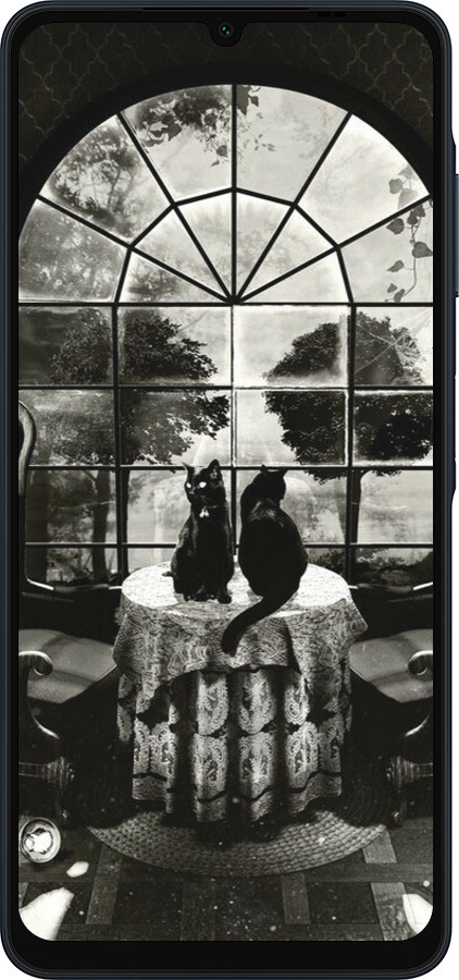 Силиконовый чехол Череп и коты для Samsung Galaxy A06 4G - 6432u-3776 изображение 