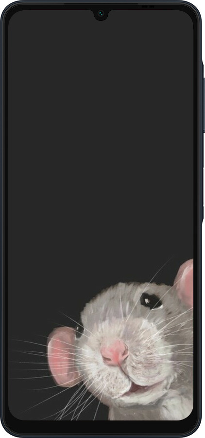 Силиконовый чехол The Peeking Rat для Samsung Galaxy A06 4G - 6442u-3776 изображение 