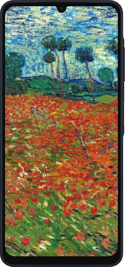 Силиконовый чехол Винсент Ван Гог-Маковое поле для Samsung Galaxy A06 4G - 6466u-3776 изображение 