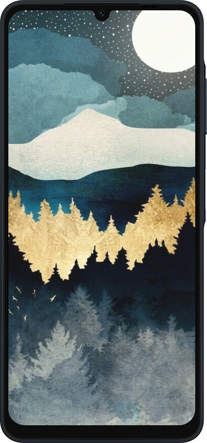 Силиконовый чехол Ночной пейзаж с лесом и горами для Samsung Galaxy A06 4G - 6493u-3776 изображение 