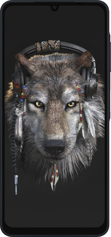 Силиконовый чехол Волк-меломан для Samsung Galaxy A06 4G - 875u-3776 изображение 